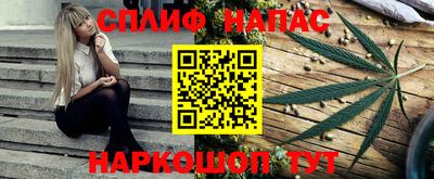 ешки Можга