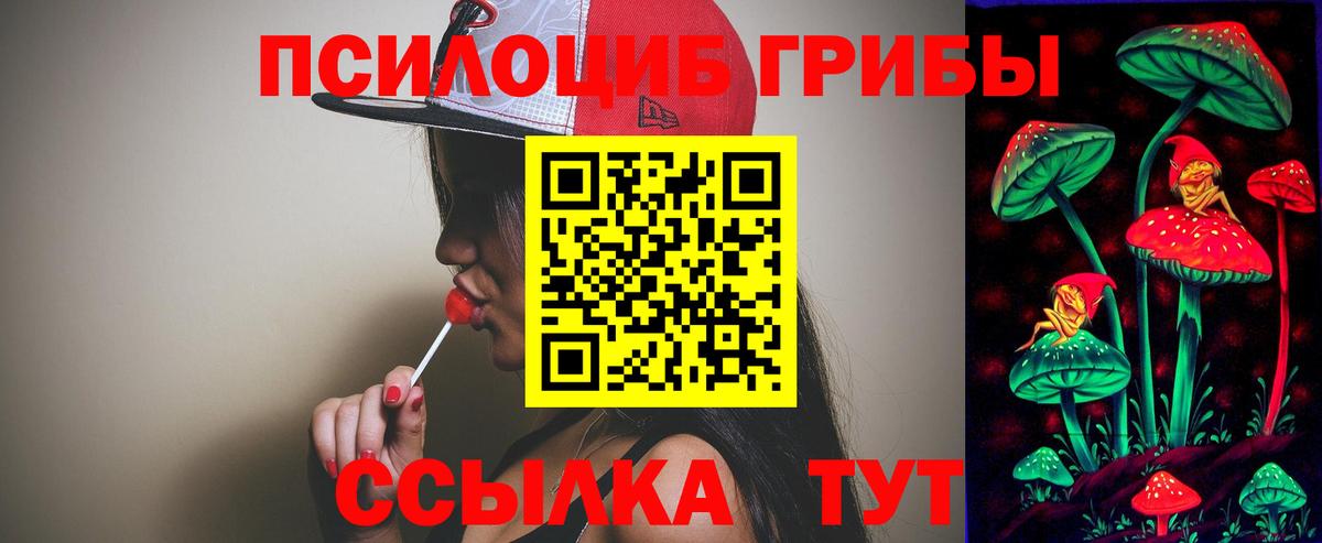 Верхний Уфалей  Псилоцибиновые грибы Cubensis  Вход с VPN  Галлюциногенные грибы мицелий 
