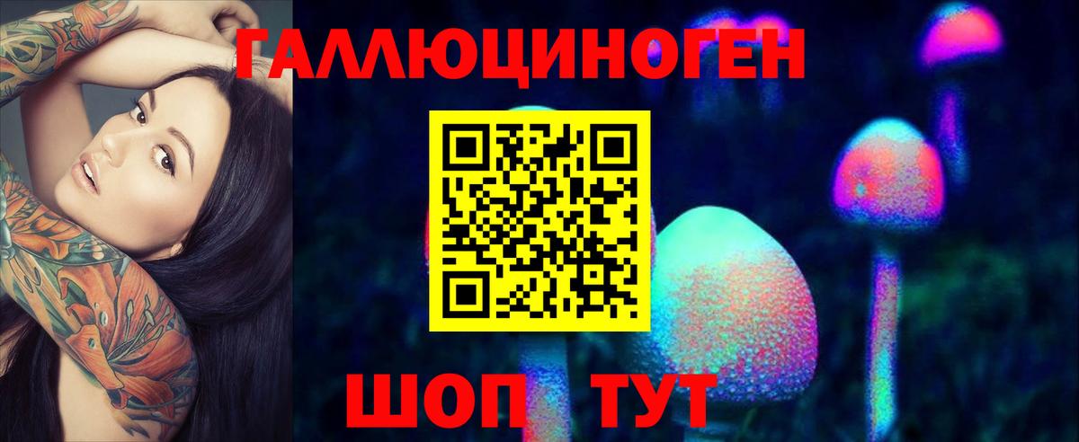 Псилоцибиновые грибы прущие грибы Верхний Уфалей